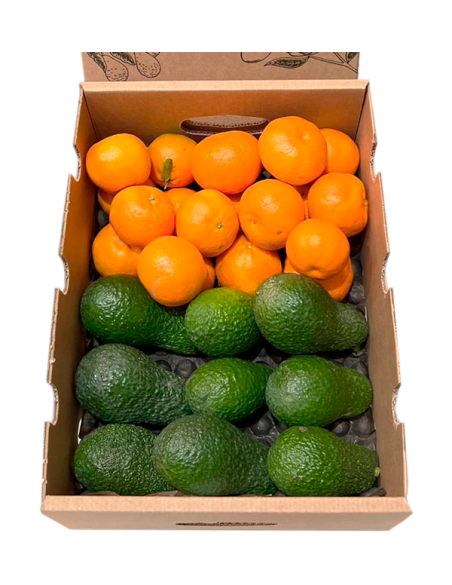 Compre Abacates Hass e clementinas valencianas