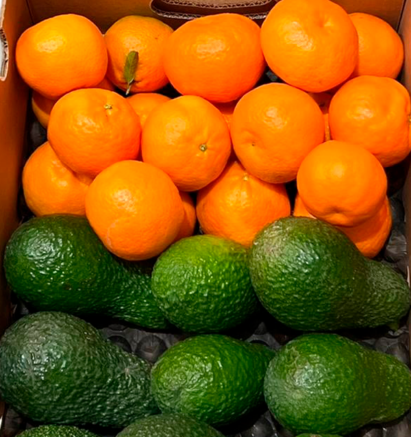 Compre Abacates Hass e clementinas valencianas