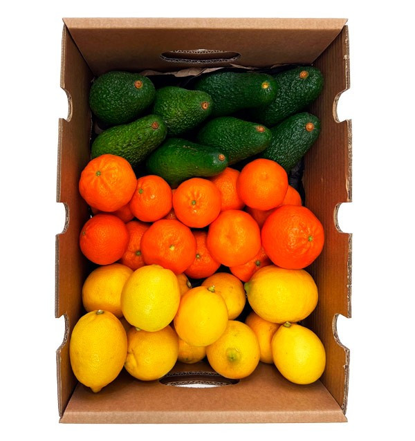 Mix di mandarini, avocado e limoni - Vendita diretta dal contadino