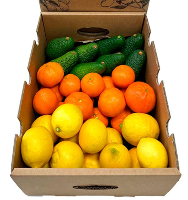 Mix aus Mandarinen, Avocados und Zitronen - Direktverkauf vom Bauern 2