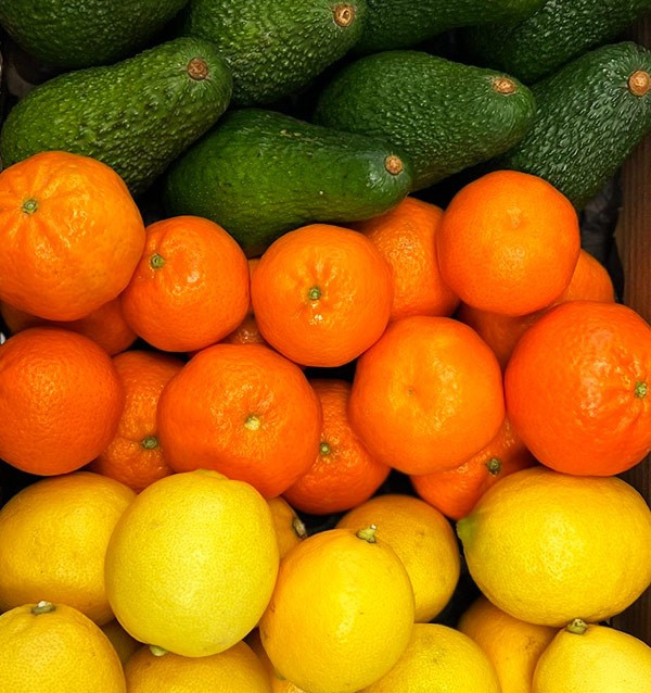 Mélange de mandarines, avocats et citrons - Vente directe du fermier
