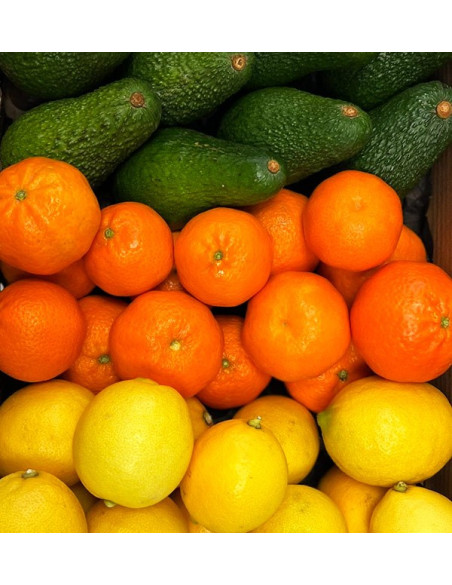 Mélange de mandarines, avocats et citrons - Vente directe du fermier
