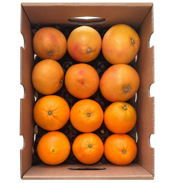 Kaufen Sie Grapefruits und Orangen direkt vom Bauern 2