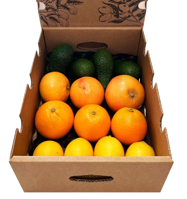 Scatola mista di Avocado, pompelmo, arance e limoni - Acquista online dal campo a casa tua