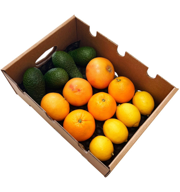 Scatola mista di Avocado, pompelmo, arance e limoni - Acquista online dal campo a casa tua