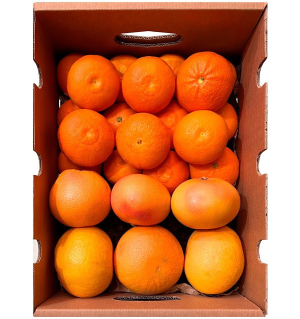 Mandarines clémentines et pamplemousses directement du champ à votre domicile