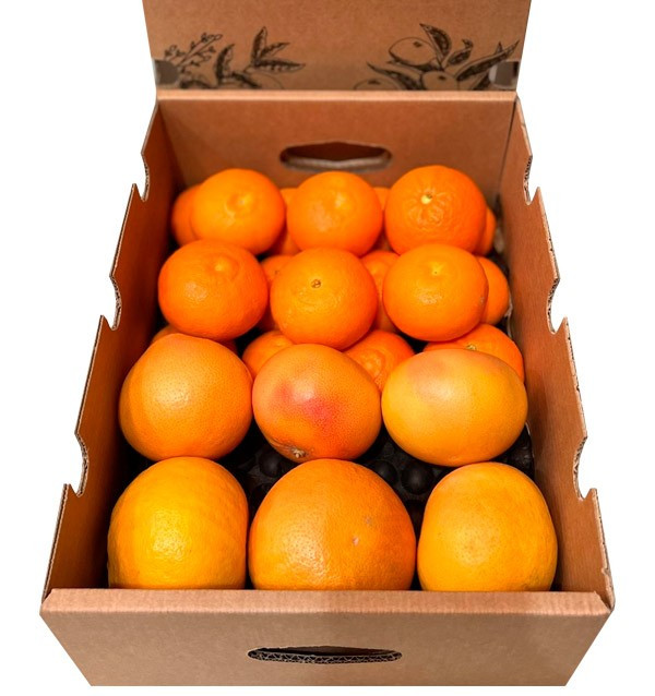 Clementine tangerines and grapefruit direct from the field to your home