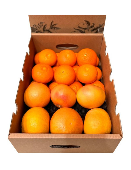 Pack clementinas y pomelos
