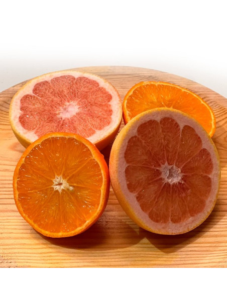 Pack clementinas y pomelos