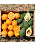 Pack Laranja e Abacate