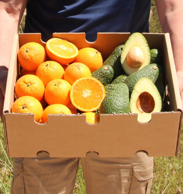 Acquista arance e avocado | TropiTop