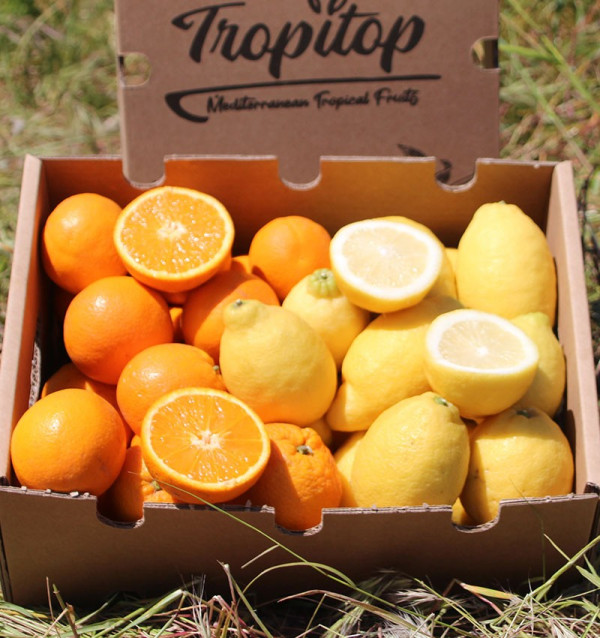 Laranjas e limões | Frutas on-line