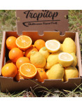 Oranges and Lemons Pack