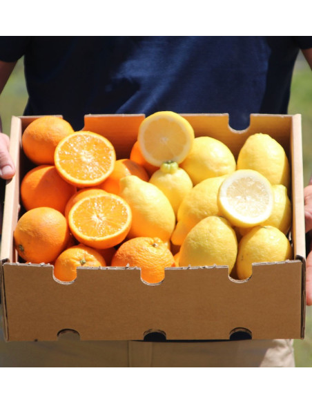Naranjas y limones | Fruta online