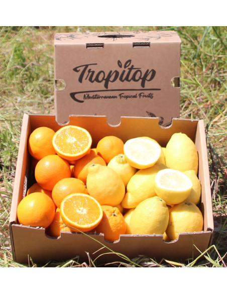 Arance e Limoni | frutta in linea