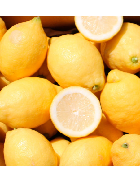 Buy Lemons Online | Fresh Lemons Direct from the Field