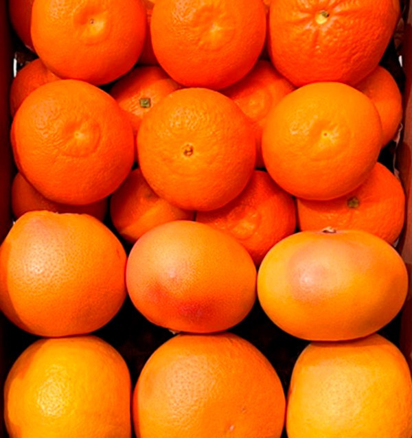 Mix mandarinas y pomelos