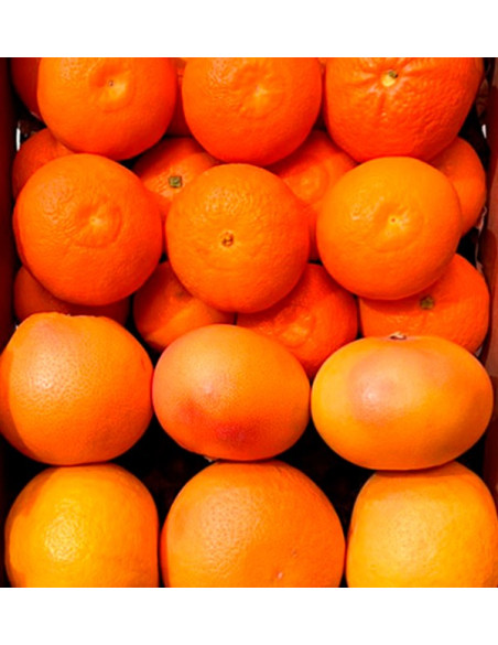 Mix mandarinas y pomelos