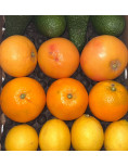 Abacates, toranjas, laranjas e limões