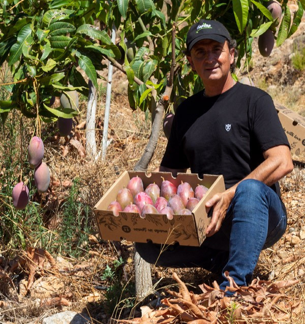 Agricultor con caja de Mango