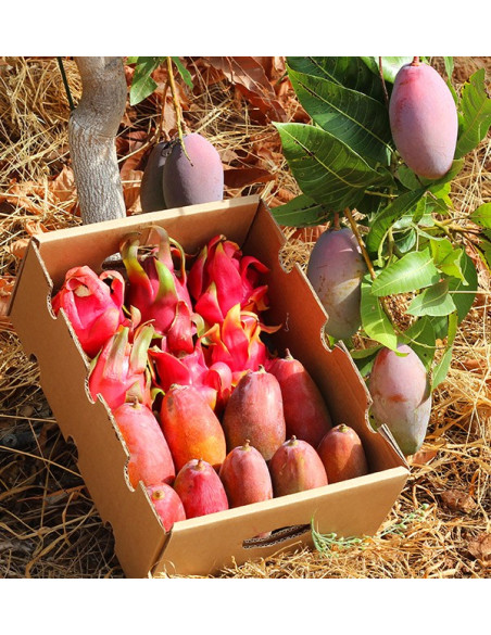 Comprar Pitahayas y Mangos