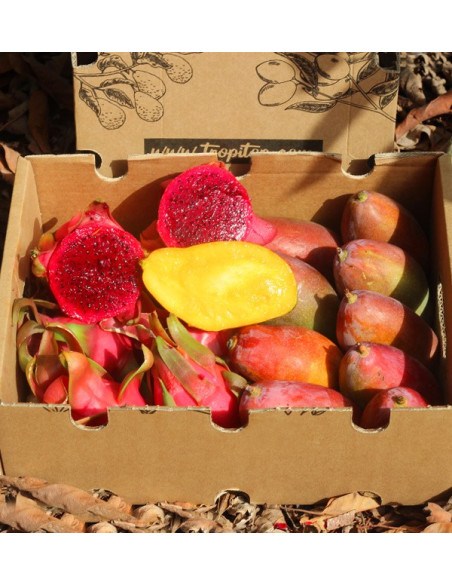 Comprar Pitahayas y Mangos