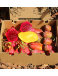 Pack mangos y pitahayas