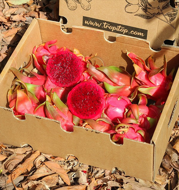 Comprar Pitaia Online | Sabor exótico direto para sua casa