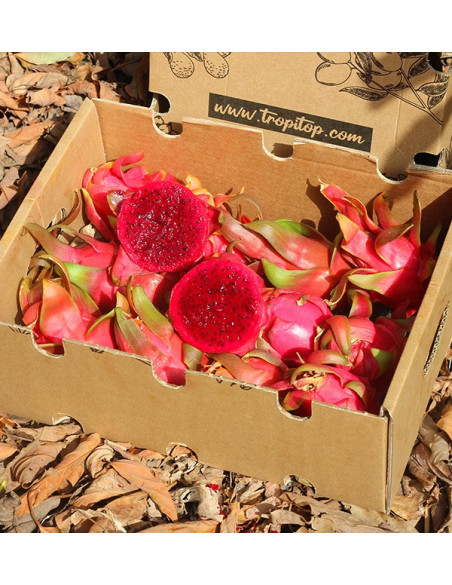 Buy Pitahayas Online | Fresh Dragon Fruit Bursting with Flavor