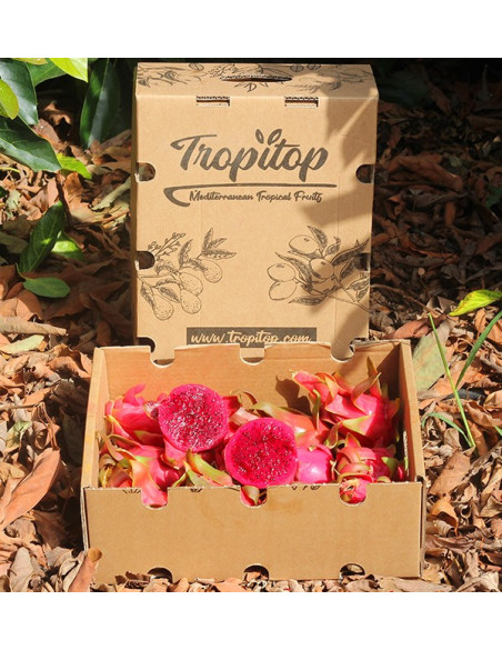 Buy Pitahayas Online | Fresh Dragon Fruit Bursting with Flavor