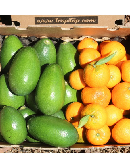 Avocats bacon et mandarines clémentines