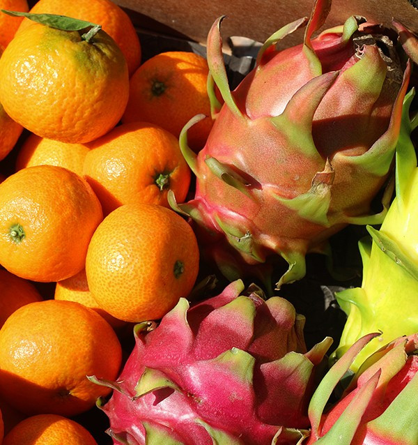 Mandarinen und Drachenfrucht