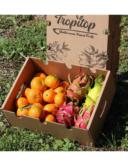 Comprar mandarina y pitahaya