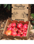 Pomegranates