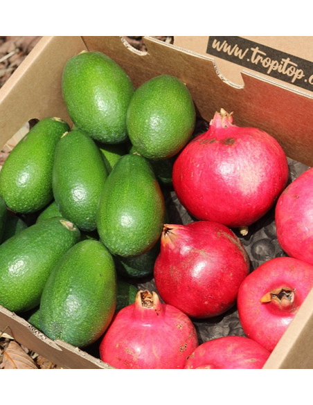 Pack aguacates piel lisa y granadas
