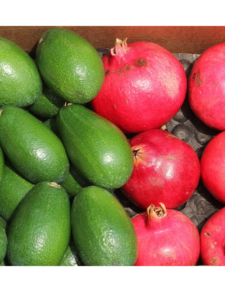 Buy pomegranates and avocados