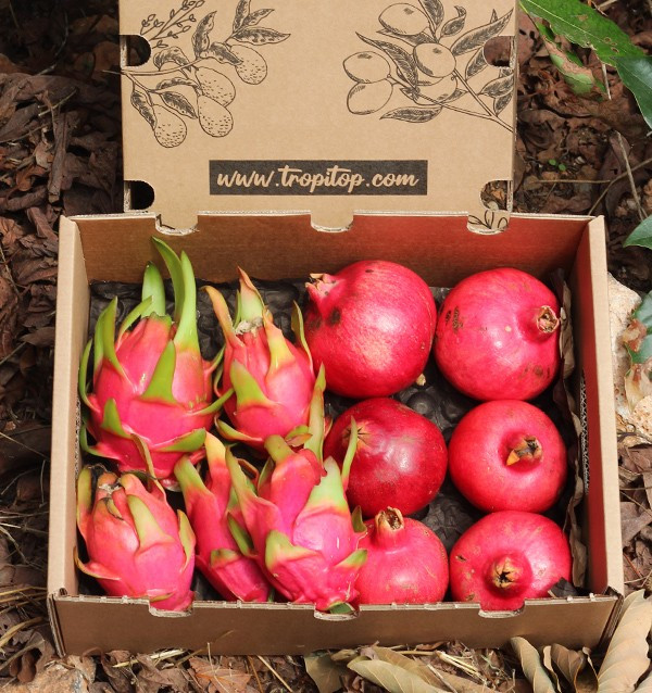 Buy pomegranates and pitahayas online at Tropitop