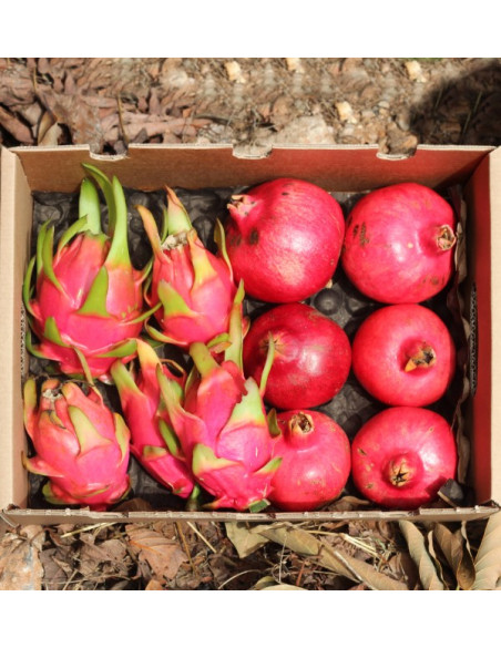 Comprare melagrane e pitaya online su Tropitop