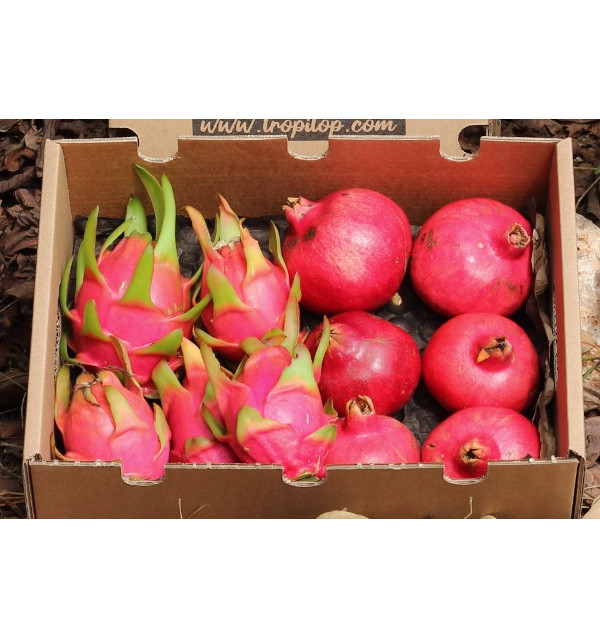 Comprare melagrane e pitaya online su Tropitop