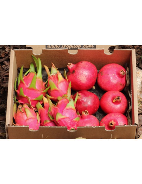 Comprare melagrane e pitaya online su Tropitop