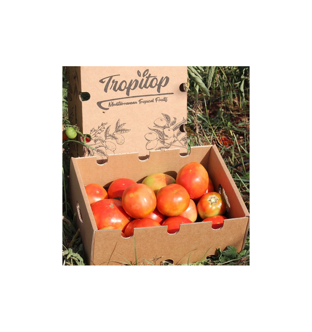 Compra Tomates Online Tomates frescos sabrosos y de calidad - Main Image