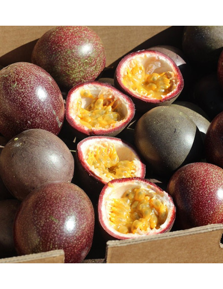 Passionsfrucht online kaufen