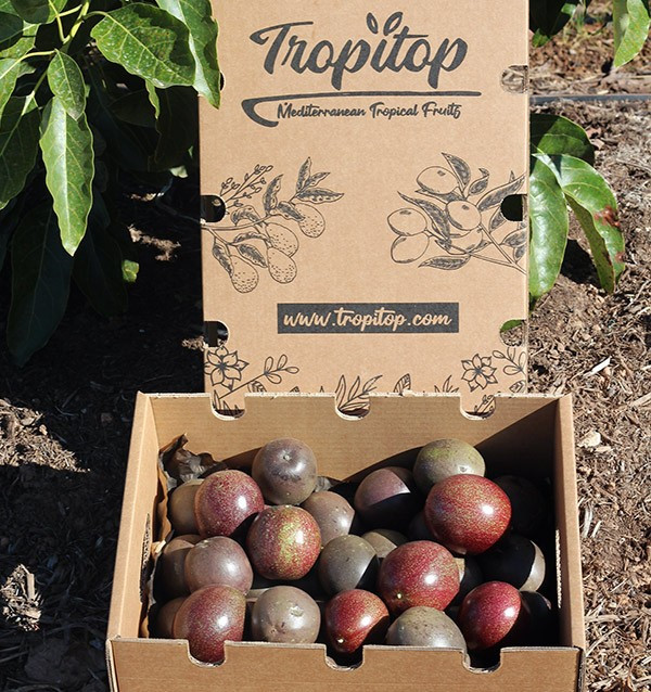 Buy Passion Fruit Online