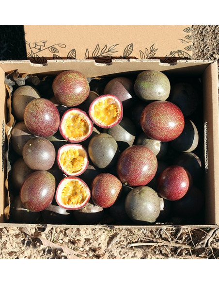 Comprar Fruta da Paixão (Maracujá) online