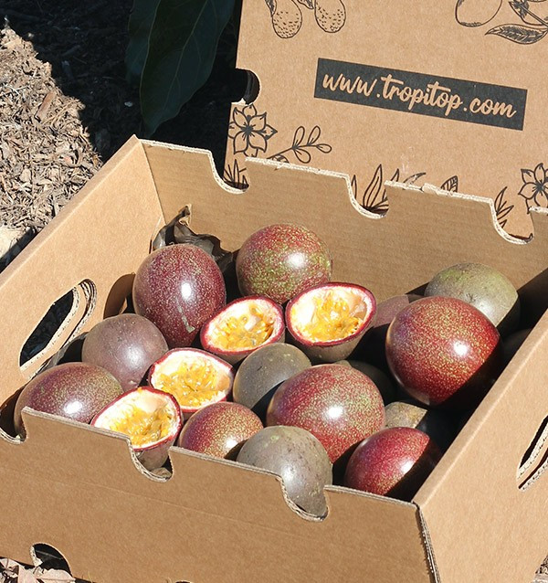 Comprar fruta de la pasión (Maracuyá) online