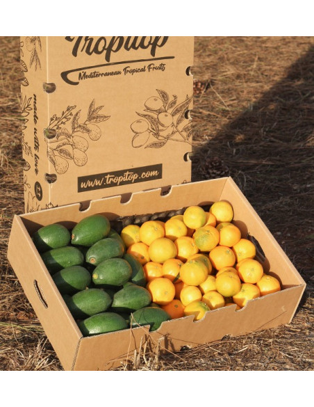 Comprar Aguacates Bacon y mandarinas clementinas