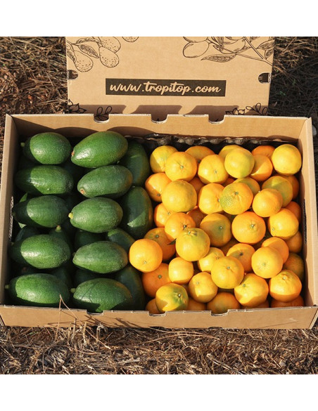 Avocats bacon et mandarines clémentines