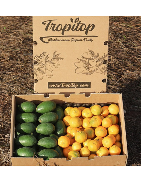 Avocats bacon et mandarines clémentines
