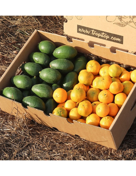 Avocats bacon et mandarines clémentines