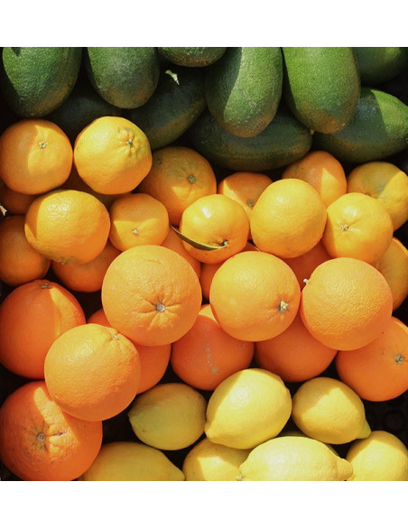 Cesta de aguacates, naranjas, mandarinas y limónes